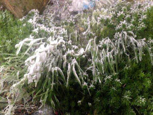 Những khu vực nào đang có tuyết rơi