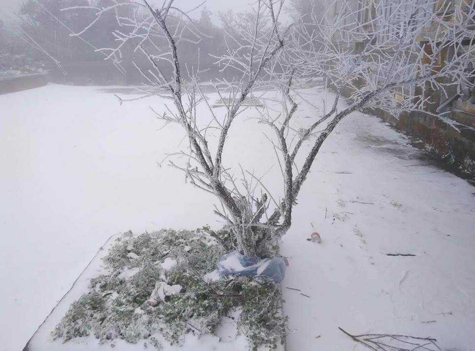 Những khu vực nào đang có tuyết rơi