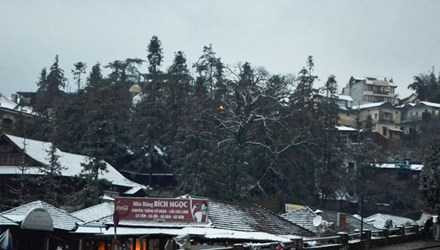 Tận thấy tuyết trắng mênh mông khắp Sa Pa, Y Tý