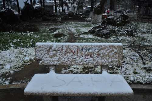 au một đêm, tuyết rơi phú kín từng cành cây, ngọn cỏ ở thị trấn Sapa (Lào Cai). Màu trắng của tuyết phủ lên thị trấn trong khi nhiệt độ càng lúc càng giảm mạnh.