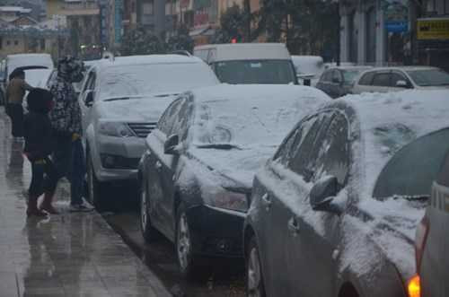 Tận thấy tuyết trắng mênh mông khắp Sa Pa, Y Tý