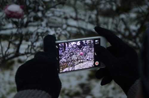 Tận thấy tuyết trắng mênh mông khắp Sa Pa, Y Tý