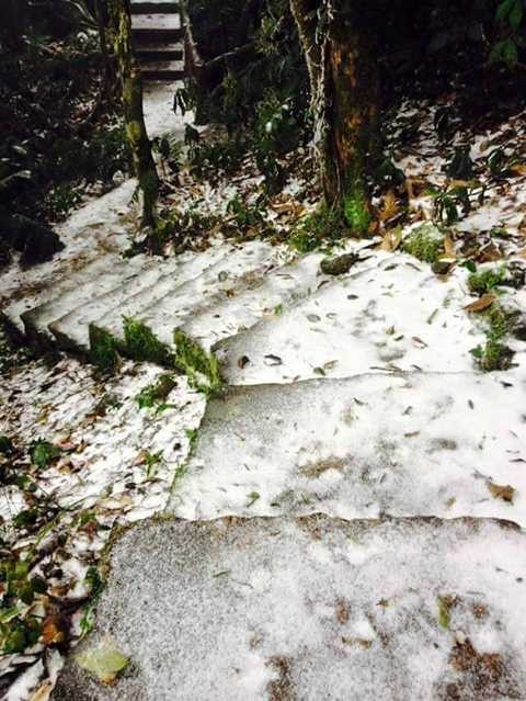 Tuyết xuất hiện ở khắp mọi nơi