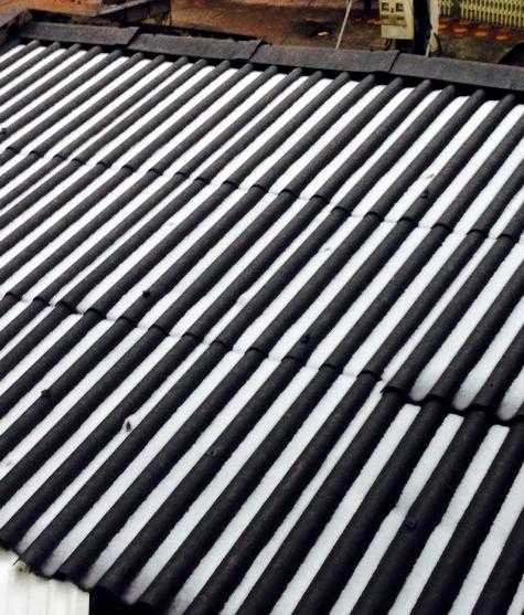 Trượt tuyết trên đỉnh Mẫu Sơn khiến giới trẻ thích thú