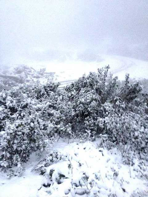 Băng tuyết phủ trắng vùng núi Nghệ An