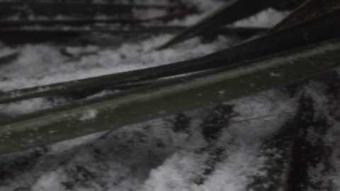 Băng tuyết phủ trắng vùng núi Nghệ An