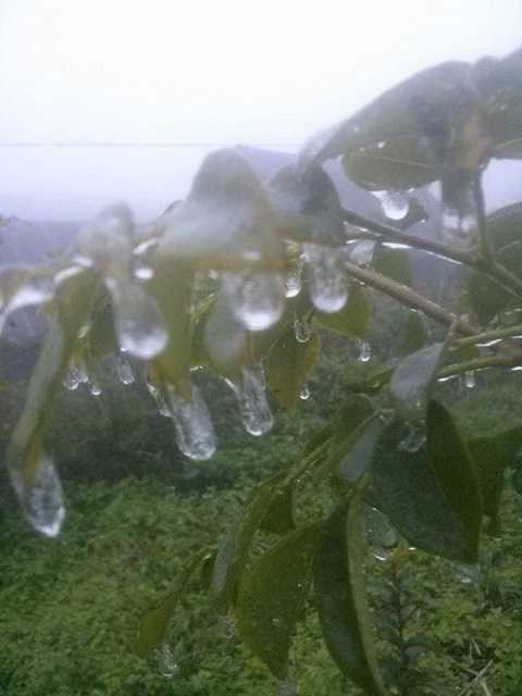 Băng tuyết phủ trắng vùng núi Nghệ An