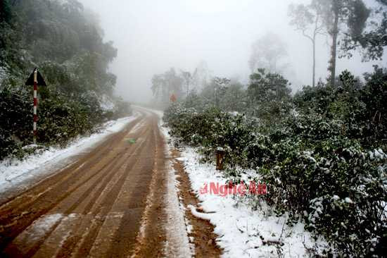 Đường lên Pu Xai Lai Leng - đỉnh núi cao nhất Bắc miền Trung ở Kỳ Sơn.
