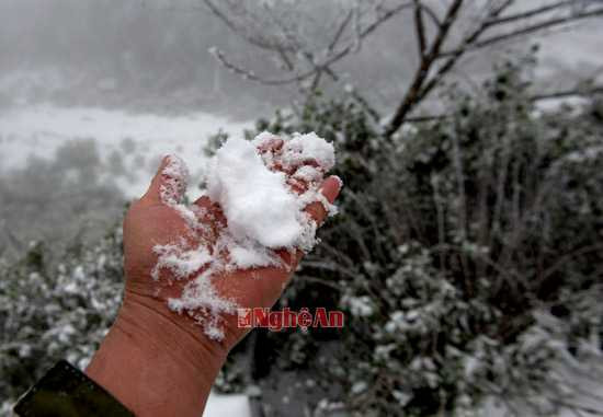 Những ai thích khám phá thì cảm giác được nâng bông tuyết trắng thật tuyệt.