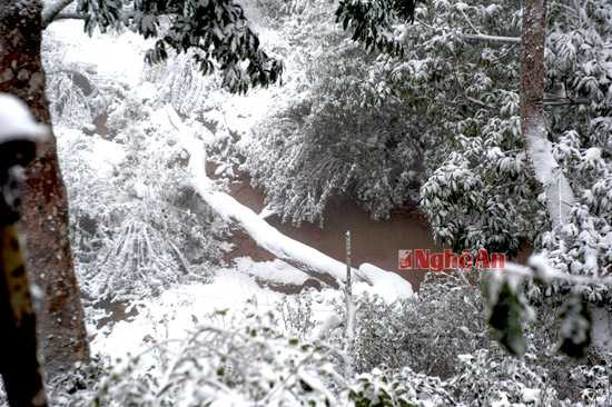 Không ai còn có thể nhận ra những khe suối trên vùng rẻo cao.