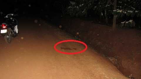 Hiện trường nơi em Hương nằm ngất xỉu.