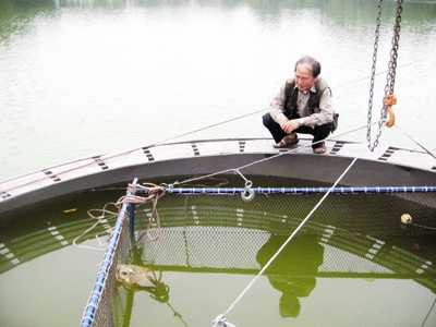 PGS Hà Đình Đức: ‘Cụ rùa’ Hồ Gươm năm 2011 đã 'cứu' nhiều người khỏi tai họa