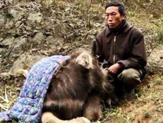 Người dân còn chịu nhiều thiệt hại nếu như thời tiết khắc nghiệt còn kéo dài.