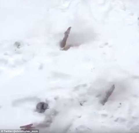 .. bơi nhưng không thành. .. bơi nhưng không thành.