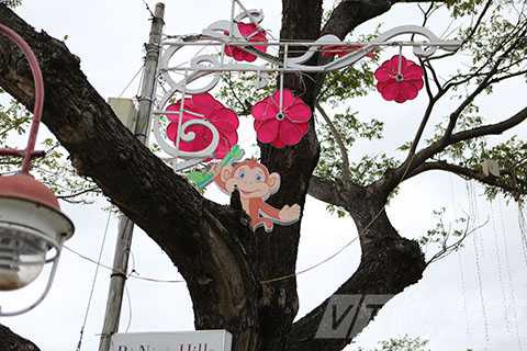 Đà Nẵng, rộn ràng, trang hoàng, đường phố, đón Tết, Bính Thân