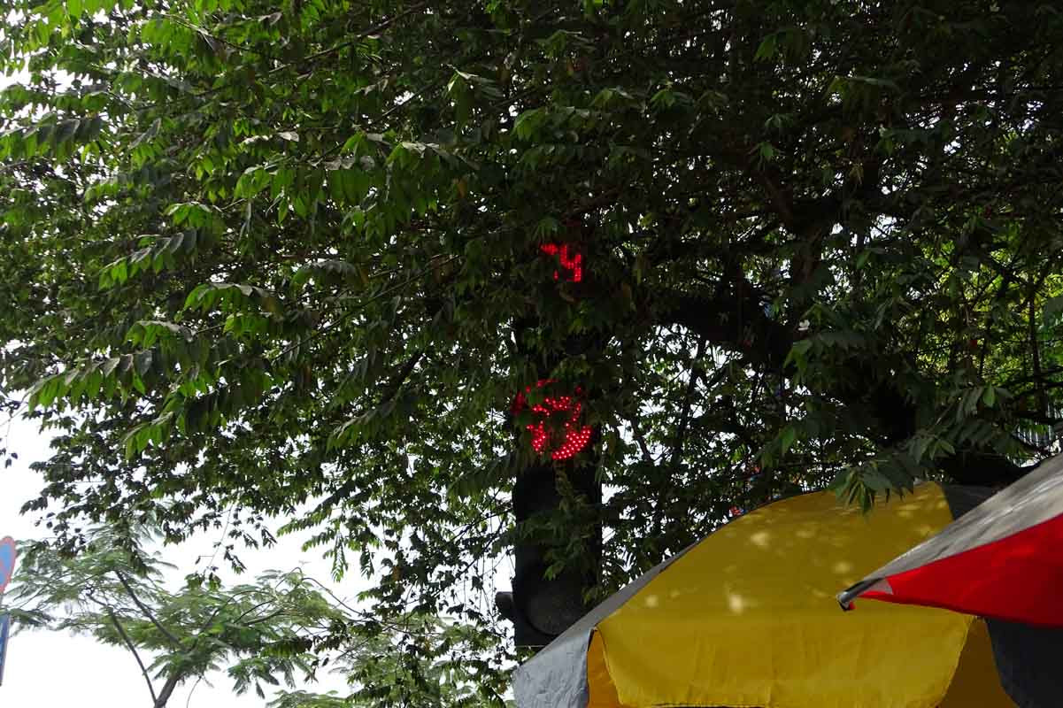 Tuy nhiên, tại đoạn Phạm Phú Thứ - Võ Văn Kiệt (Q6), cột đèn giao thông vẫn bị các cây che khuất tầm nhìn người đi đường