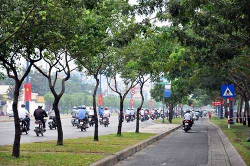 “Những ngày cuối năm chạy trên đường, trời se lạnh với sương mù bao phủ lòng lại càng nôn nao về quê hơn. Cảnh này giống những ngày cận Tết quê của tôi vậy”, chị Nguyễn Thủy quê Phú Yên nói.