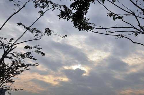 Đến hơn 8h khi mặt trời đã hửng nắng nhưng trên nhiều tuyến đường của thành phố vẫn còn bao phủ sương mù.