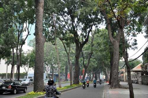 Theo Trung tâm Dự báo khí tượng thủy văn Trung ương do không khí lạnh suy yếu nên khu vực Đông Nam Bộ trong đêm nay và rạng sáng mai nhiệt độ giảm xuống 22 độ C, một số khu miền núi có thể dưới 19 độ C. Tại TP.HCM dự báo nhiệt độ 21 độ C.