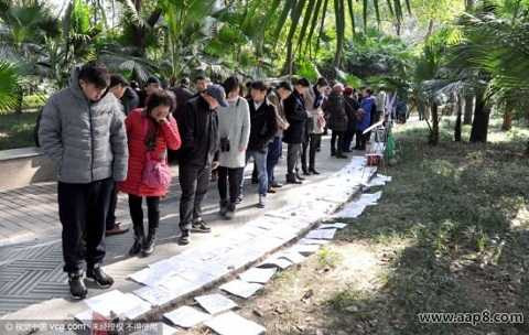 Rất nhiều người trẻ cũng mong tìm bạn đời từ những mảnh thông tin này