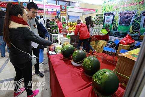 Tôi mới bán loại dưa này được vài ngày nay nhưng lượng khách tới mua và đặt hàng khá nhiều. Mỗi quả dưa có trọng lượng khoảng 5 kg, đem làm quà biếu hoặc dùng để thắp hương trên bàn thờ rất hợp bởi hình dáng khỉ cầm tiền cầm đồng tiền, dưới chân là rất nhiều vàng bạc với ý nghĩa Tết Bính Thân sẽ có nhiều tài lộc, chủ cửa hàng cho biết thêm.