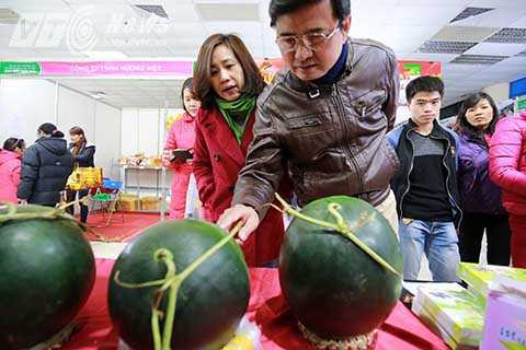 Trung bình mỗi quả dưa có trọng lượng khoảng 5 kg và có giá khoảng 350.000 đồng/quả.