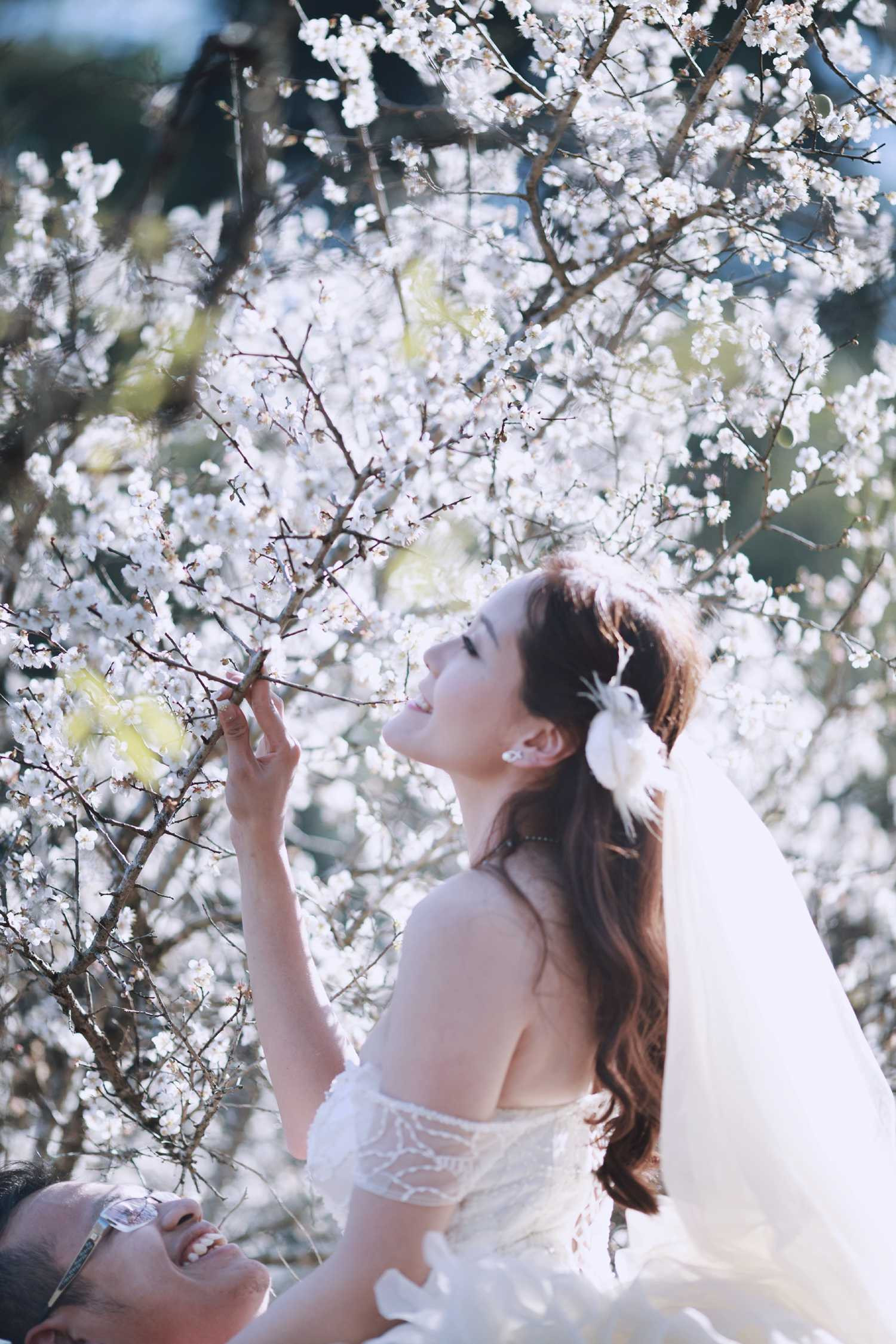 Ảnh cưới của cặp đôi Hà Thành giữa thiên đường hoa mận trắng Mộc Châu