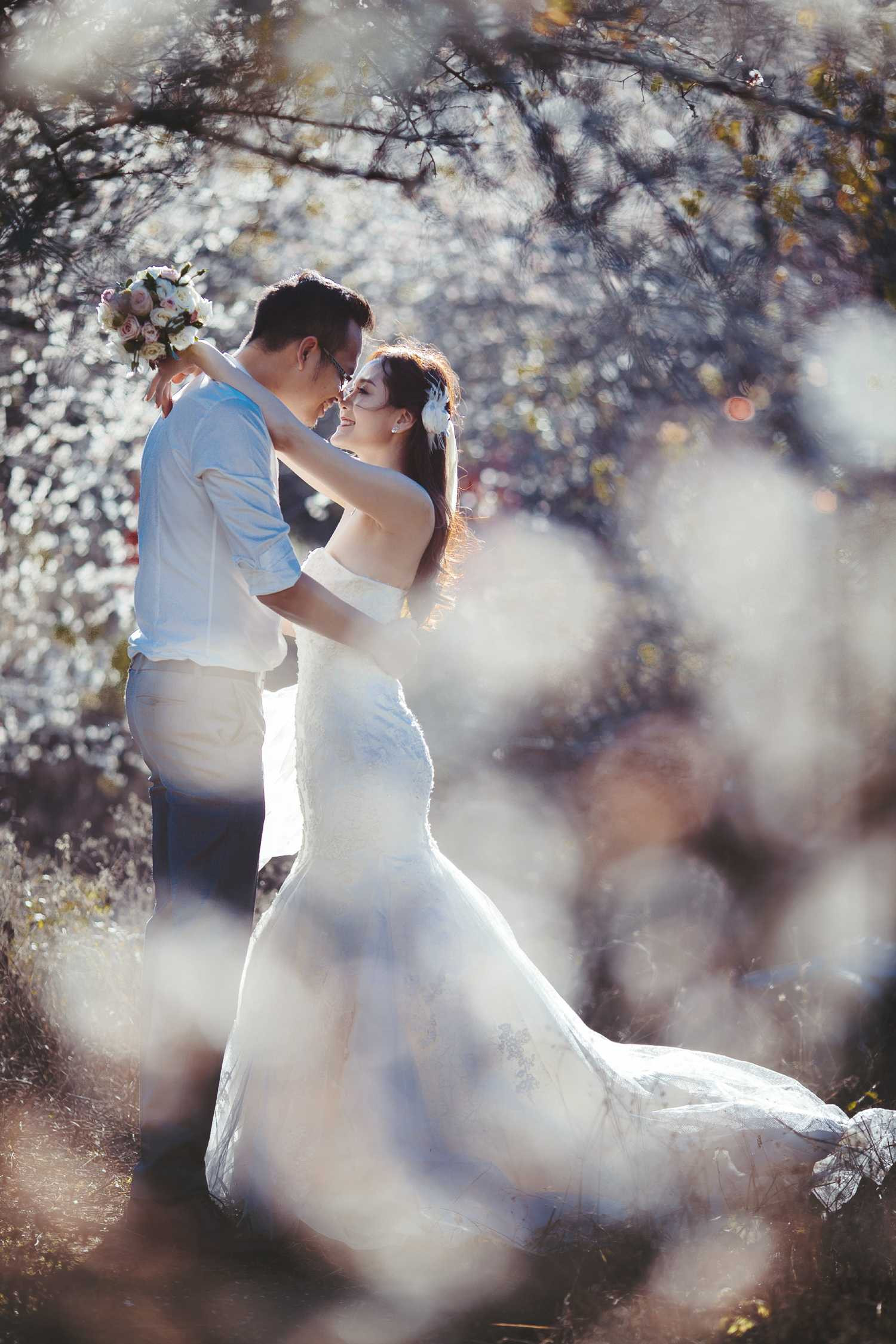 Ảnh cưới của cặp đôi Hà Thành giữa thiên đường hoa mận trắng Mộc Châu