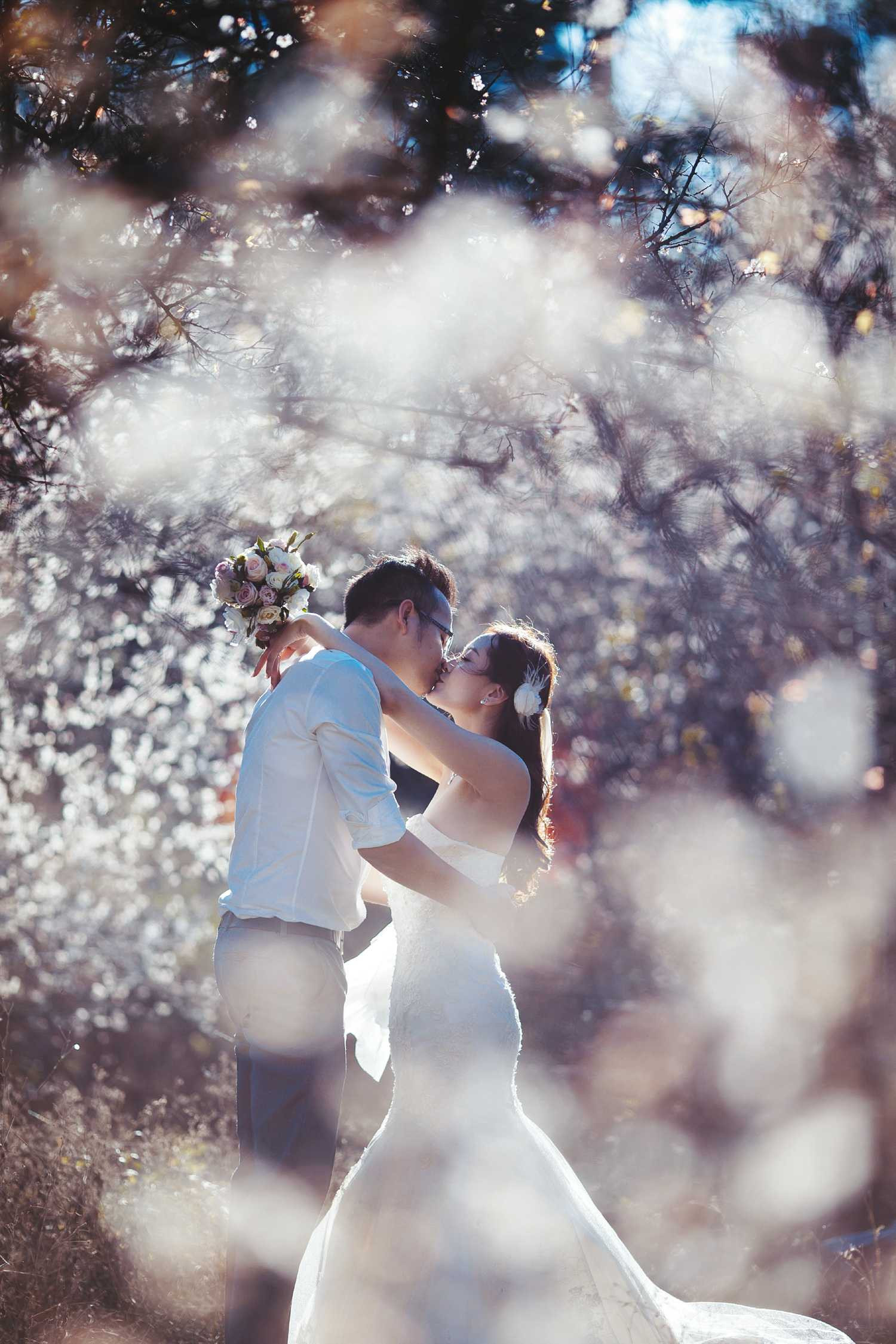 Ảnh cưới của cặp đôi Hà Thành giữa thiên đường hoa mận trắng Mộc Châu