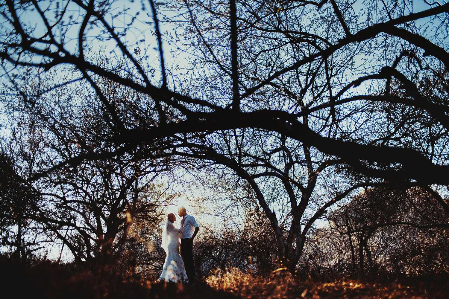 Ảnh cưới của cặp đôi Hà Thành giữa thiên đường hoa mận trắng Mộc Châu