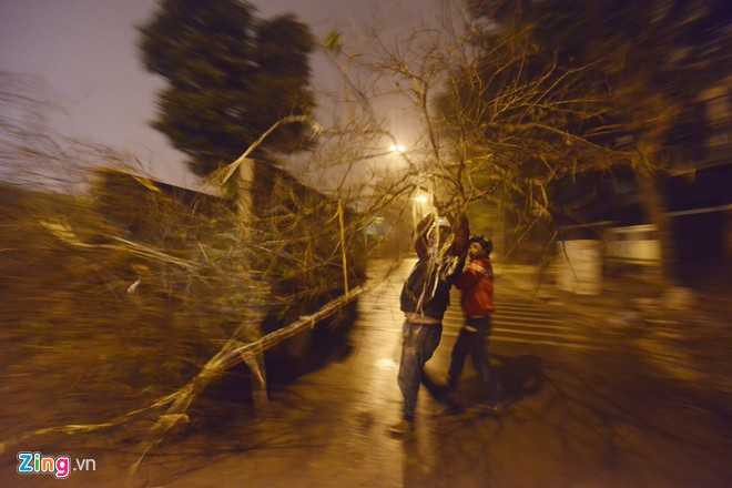 Giá mỗi cây, cành đào thường được đội lên rất nhiều vì chi phí vận chuyển. Anh Tú, một dân buôn cho biết, mua bán đào rừng giá cả không ổn định, còn tùy vào khách và dáng mỗi cây.