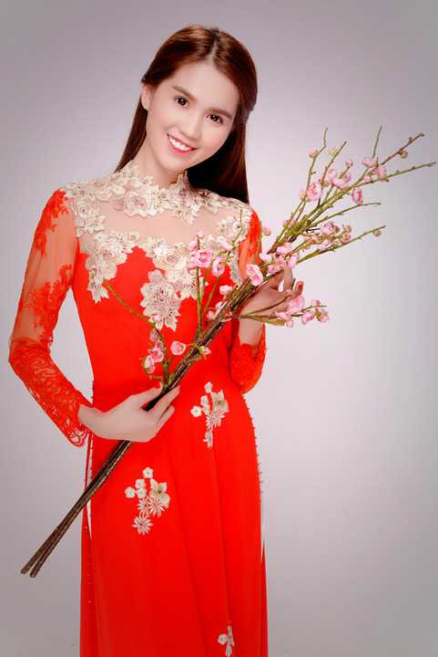 Bộ ảnh này được thực hiện để tặng cộng đồng game thủ nhân dịp Tết Bính Thân 2016