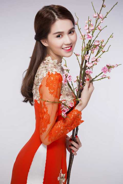 Bộ ảnh này được thực hiện để tặng cộng đồng game thủ nhân dịp Tết Bính Thân 2016