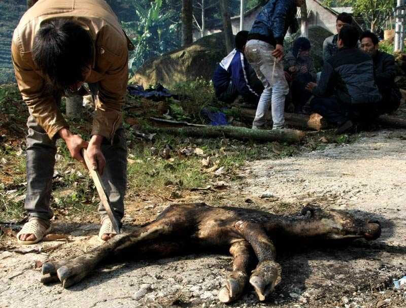 Rét lạnh đi vào lịch sử ở miền Bắc: Những con số biết rơi nước mắt