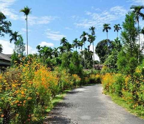Khung cảnh thanh bình của Mawlynnong
