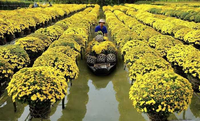 Những điểm đến tuyệt vời cho Tết Nguyên đán 2016