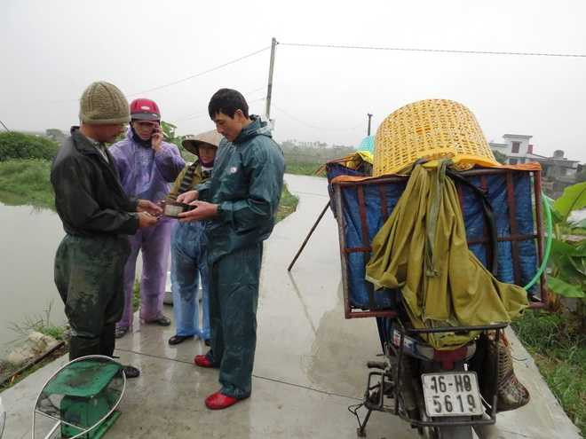 Ngoài các thương lái đến từ tỉnh thành lân cận, không ít người dân địa phương sử dụng xe máy đổ về mua cá đi bán lẻ.
