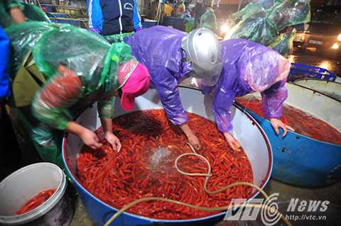 Anh Dũng, một tiểu thương tại chợ cá Sở Thượng cho biết, năm nào anh cũng nhập cá đỏ từ Hải Dương, Thái Bình về bán buôn cho các tiểu thương khác. “Lợi nhuận không đáng kể so với cá thịt nhưng bán để lấy lộc”, anh Dũng chia sẻ.