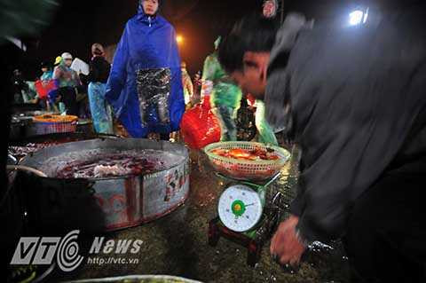 Rất nhiều tiểu thương bán cá tại các chợ dân sinh có mặt tại đây từ sớm để lấy hàng.