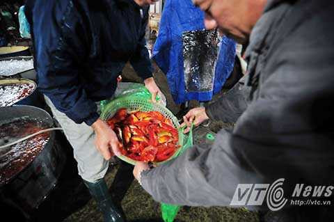 Cũng có người dân mua cá với số lượng lớn sau đó về tự chia nhau vì giá mua tại chợ đầu mối thường rẻ hơn rất nhiều 60.000/kg/50 con so với giá ngoài thị trường 20.000/3 con.