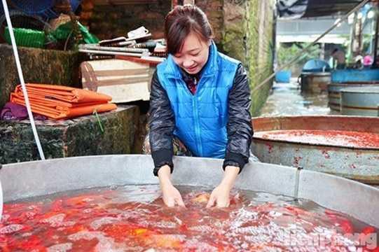 Hiện tại giá cá chép vẫn không có gì thay đổi so với năm ngoái, trung bình 50.000-70.000 đồng/kg, một tiểu thương ở chợ cho biết. Hiện tại giá cá chép vẫn không có gì thay đổi so với năm ngoái, trung bình 50.000-70.000 đồng/kg, một tiểu thương ở chợ cho biết.