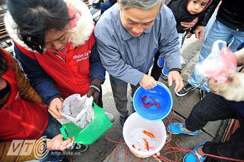 Hàng chục bạn sinh viên trẻ của các trường đại học trên địa bàn Thủ đô Hà Nội đã ra khu vực cầu Long Biên làm tình nguyện viên thả cá, thu gom túi ni lon giúp người dân.