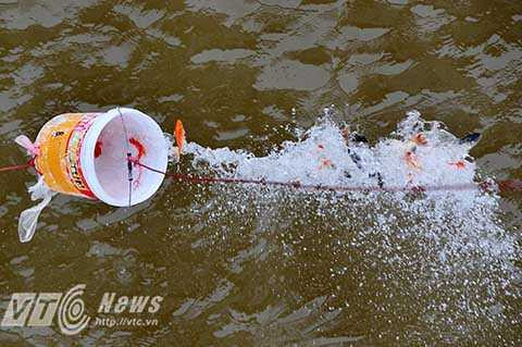 Sau đó đưa sát xuống mặt nước trước khi phóng sinh cá.