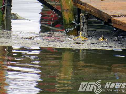 Tại khu vực hồ Tam Bạc, được cho là đẹp nhất, sạch nhất Hải Phòng, có người dân mang cả túi chân hương, tàn ngang, tro hóa vàng đổ xuống ngay khán đài cơ quan chức năng vừa mới làm lễ thả cả chép ngày cúng ông Táo 