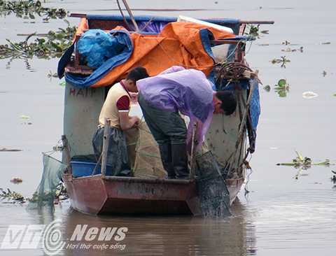 Mấy bác thuyền chài cũng tranh thủ thả nờ bắt cá chép người dân mới thả xuống sông