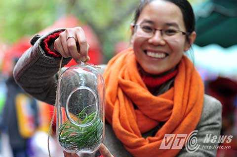 Những trái lê mang hình thù độc đáo hay loại cây sống không cần đất đem lại trải nghiệm thú vị cho du khách tới thăm phiên chợ Tết xưa.