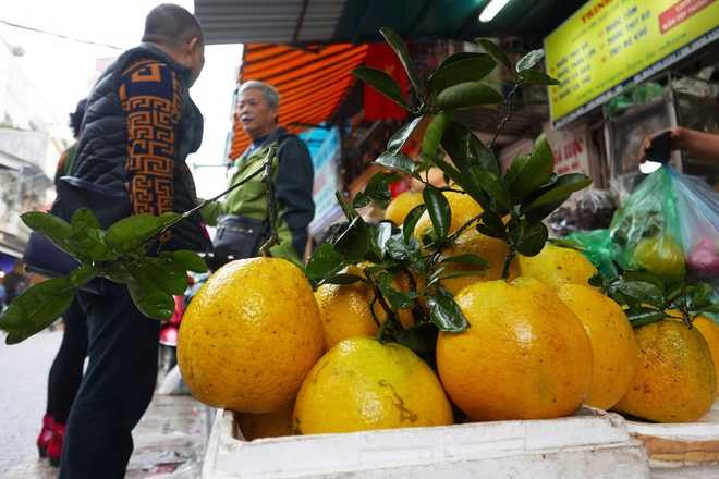 Bưởi Diễn cho mâm cúng lễ tết ông Công ông Táo bán ở chợ Hàng Bè có giá 70.000 đồng mỗi quả, trong khi ở nơi khác chỉ khoảng 50.000 đồng.