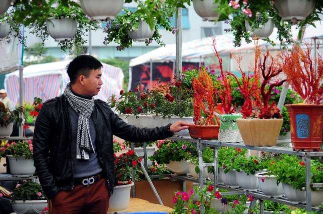 Xuất hiện tại hội chợ hoa xuân Tết Bính Thân 2016 ở Hà Nội, những chậu san hô đỏ của anh Nguyễn Anh Hưng được rất nhiều quan tâm, chú ý.