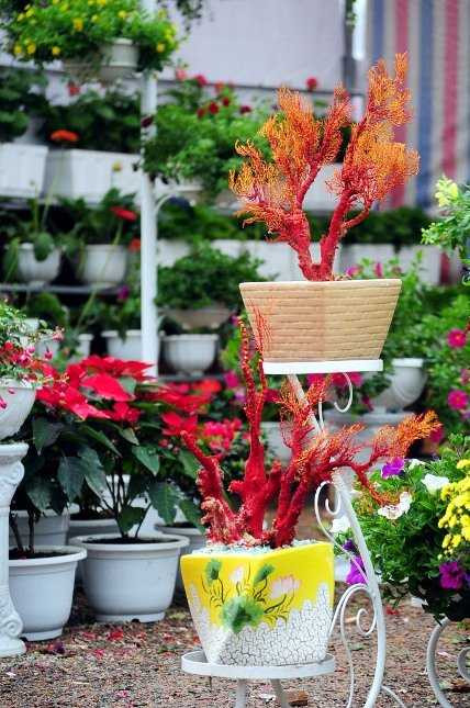 Ngoài ra, theo tâm linh, san hô đỏ là 1 trong 7 báu vật trừ tà ma của Đức Phật bởi nó sạch, không có tạp chất bên trong.