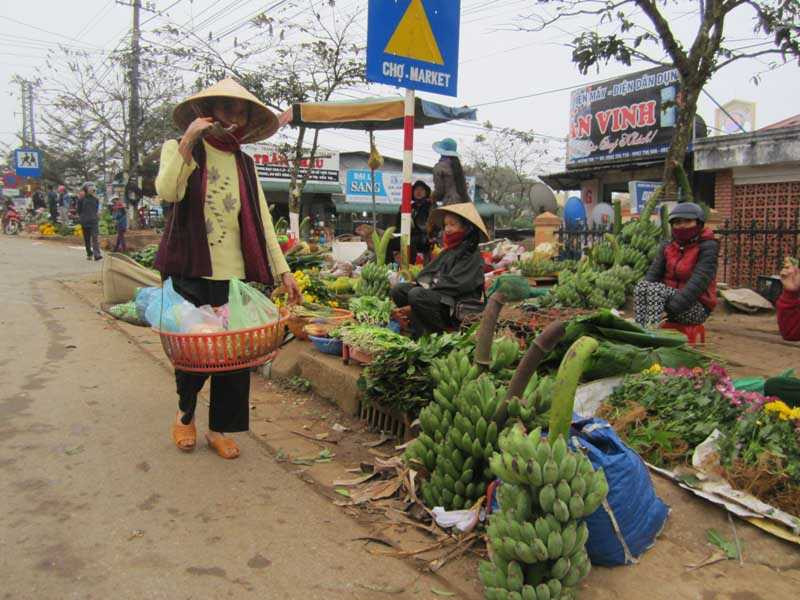 Chuối là nông sản chủ lực do người dân vùng cao Hướng Hóa trồng được